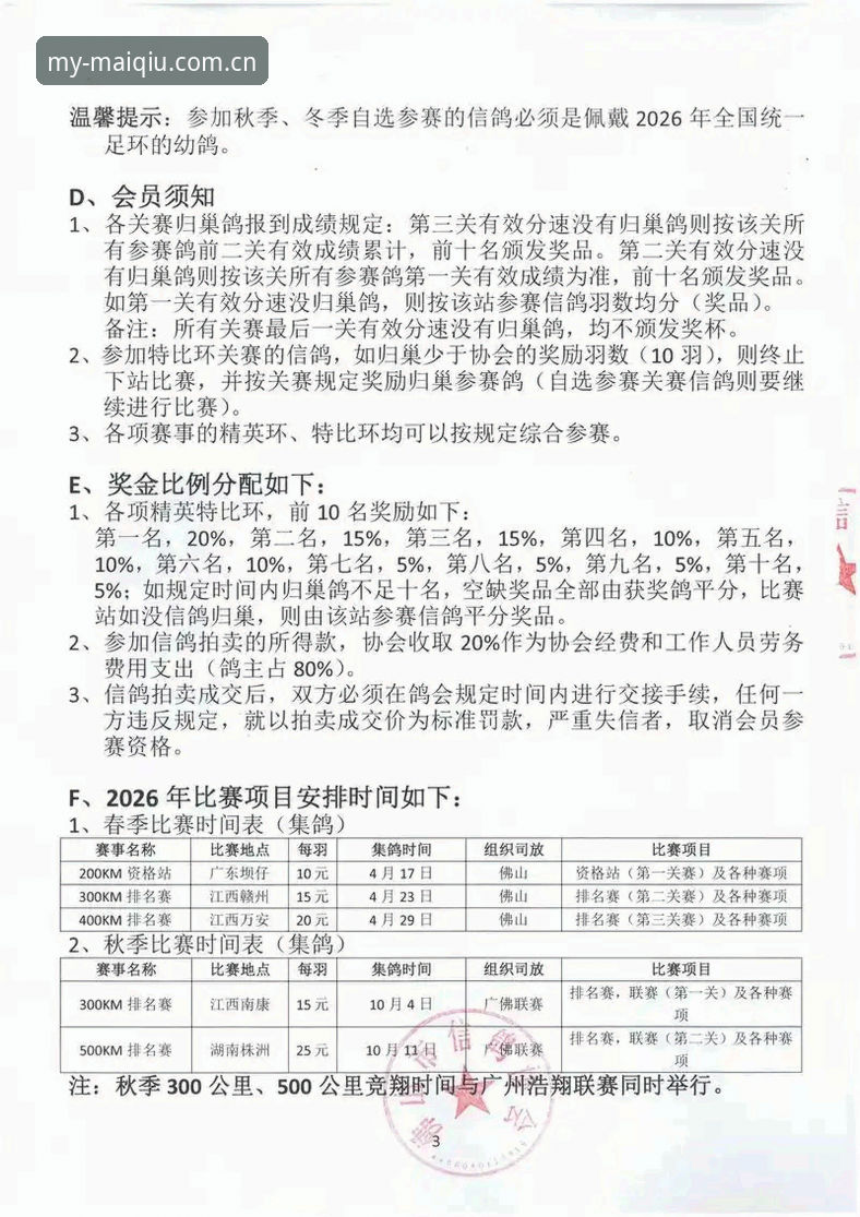 2026中国官方主页网球资讯攻略怎么用才不算白看？三年老用户说点实在的